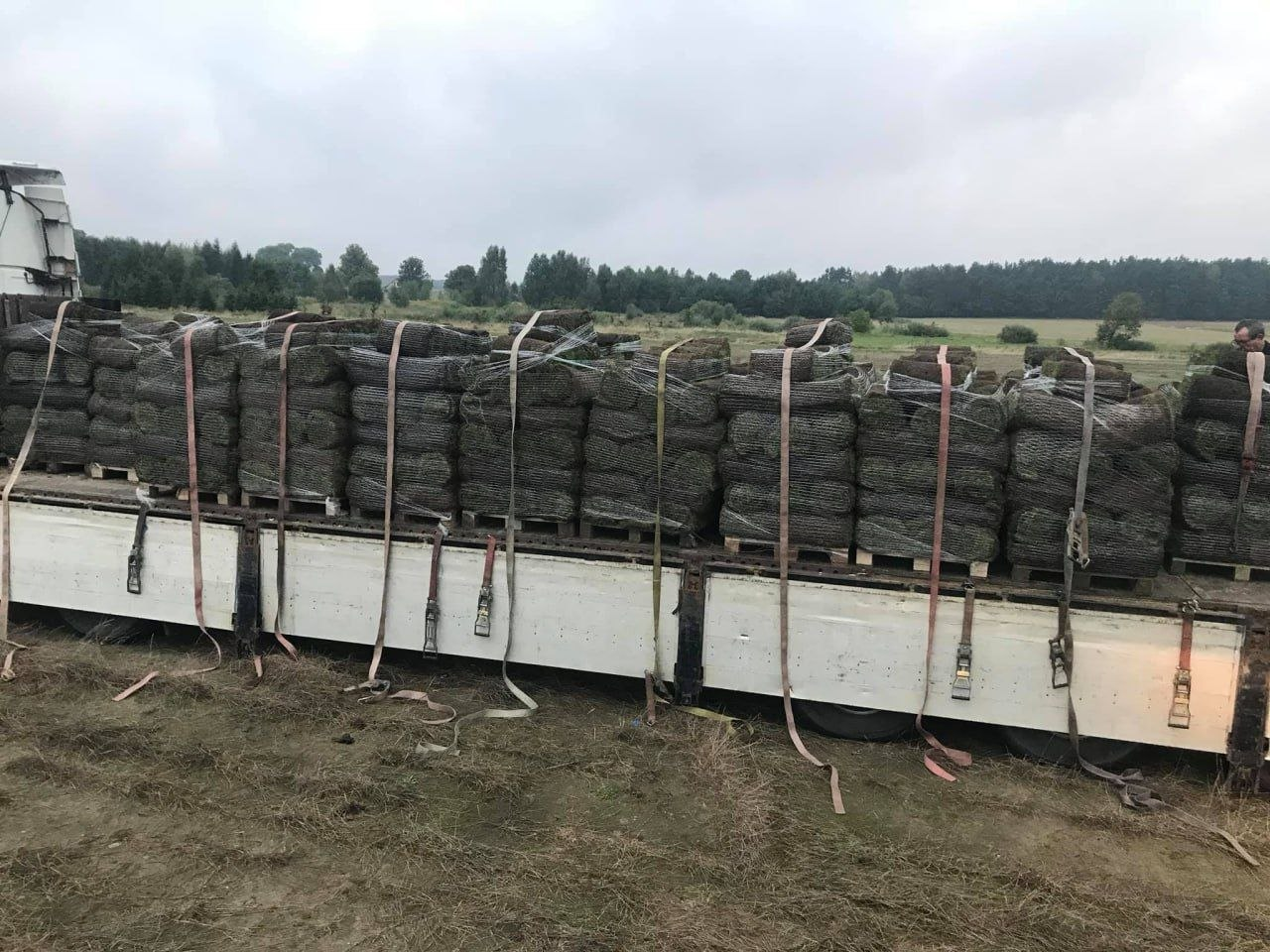 🚚 Dostawa w całej Polsce